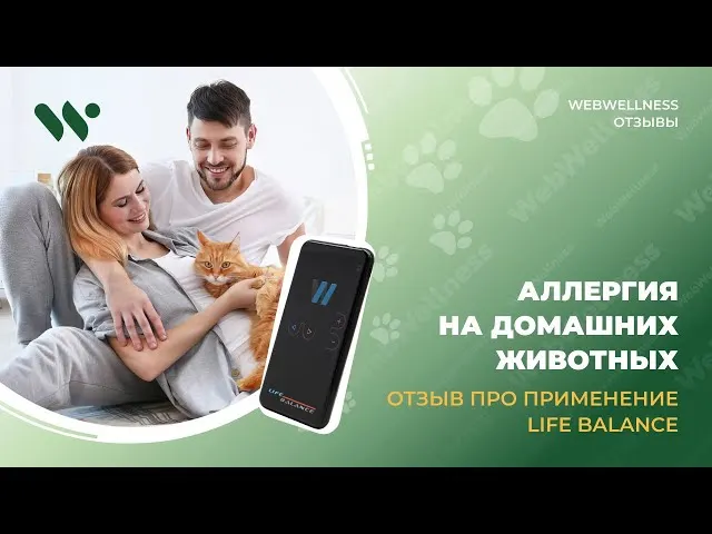 Видеоотзыв WebWellness